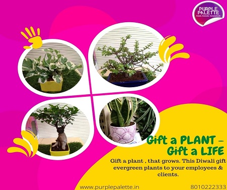 Plant Gifts Banner Manufacturers in Delhi, Plant Gifts Banner Suppliers